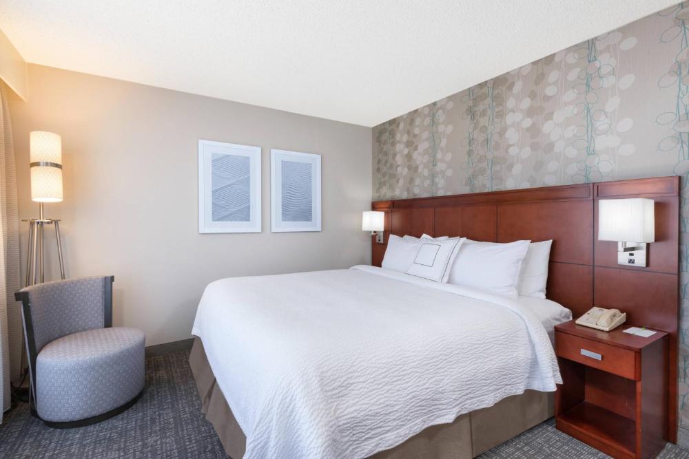 Larger Guest Room with One King Bed and Sofa Bed interior